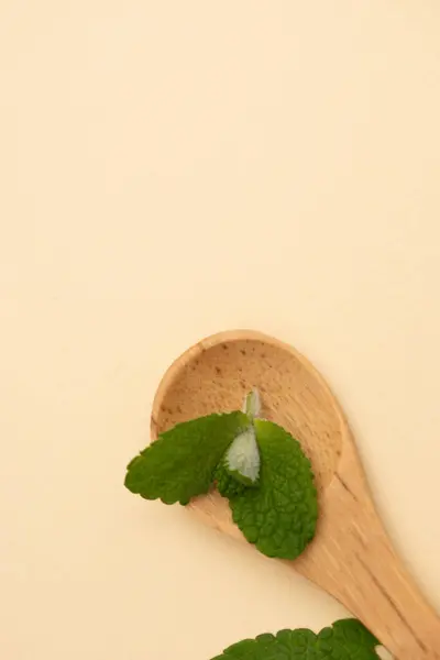 Cam şişelerde yeşil yapraklar ve lahanalar. Pastel arka planda botanik minimalizm.