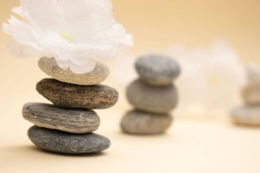 Yumuşak rulo havlular ve arka planda pastel çiçeklerle düzenlenmiş koyu renk spa taşları. Sıcak bej ayarı sakin ve huzurlu bir ortam yaratır. Sağlık, kaplıca ya da meditasyon için mükemmel..