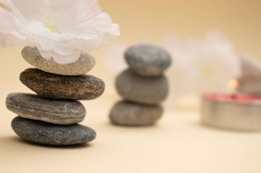 Yumuşak rulo havlular ve arka planda pastel çiçeklerle düzenlenmiş koyu renk spa taşları. Sıcak bej ayarı sakin ve huzurlu bir ortam yaratır. Sağlık, kaplıca ya da meditasyon için mükemmel..