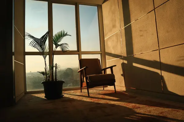 Odada güneşin sıcacık ışığıyla bir sandalye.