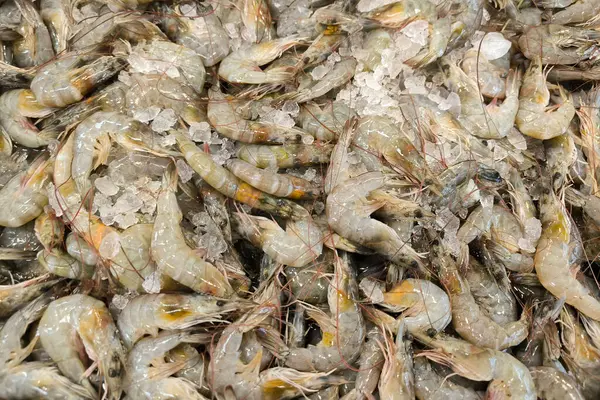 Buzlu karides. deniz ürünleri