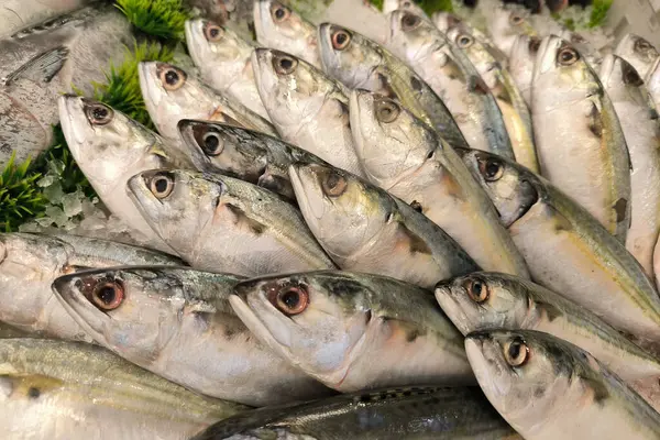 Mağazadaki buzda taze balık. balık pazarı.