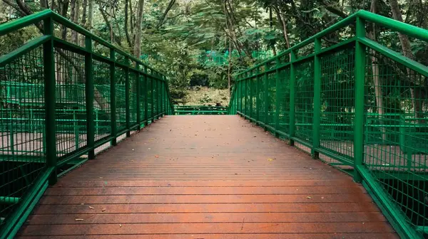 Kahverengi ahşap zemini ve ağaçlarla çevrili yeşil gökyüzü yürüyüşü