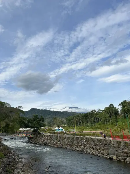 Köydeki beyaz köpek.