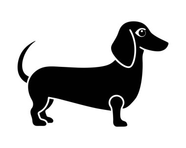 dachshund köpek vektör tasarımı