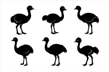 Set of Black and White Ostrich Silhouettes icon clipart