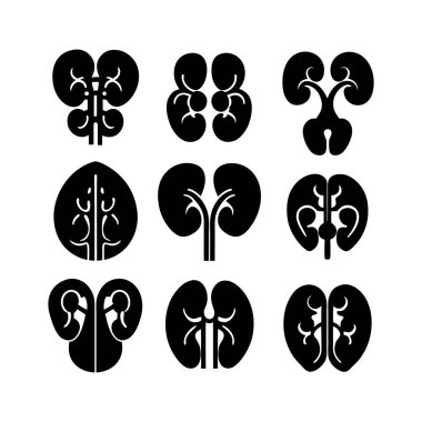 Collection of Human Kidney Icons design clipart