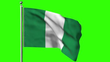 Nijerya 3D render bayrağı