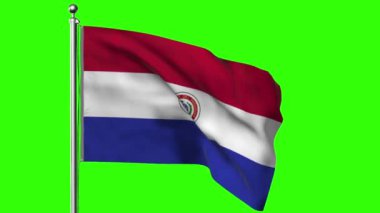 Paraguay 3 d yeşil direkte bayrak çizimi sallıyor. arkaplan için mükemmel.