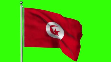 Yeşil arkaplanda Tunus bayrağı