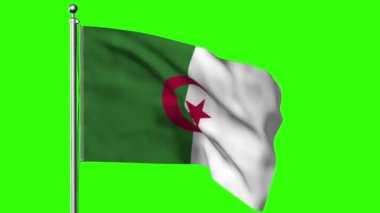 Cezayir bayrağı gökyüzüne karşı rüzgarda sallanıyor. 3d oluşturma