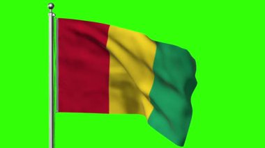 Senegal 'in yeşil rengin önünde dalgalanan ulusal bayrağının 3 boyutlu görüntüsü