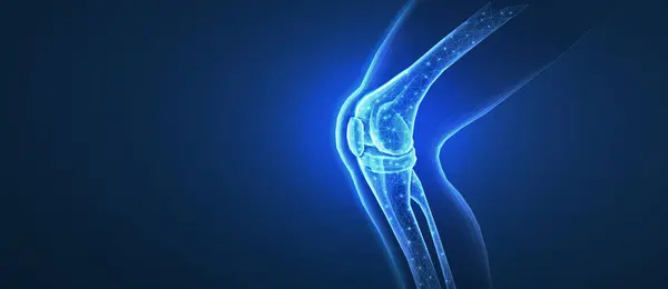 Diz eklemi mavi üzerine izole edilmiş. Kemik sağlığı, fizyoterapi, eklem bozukluğu, glukozamin onarımı, ortopedik ameliyat, fizyoterapi, magnezyum takviyesi, osteoartrit tedavisi konsepti
