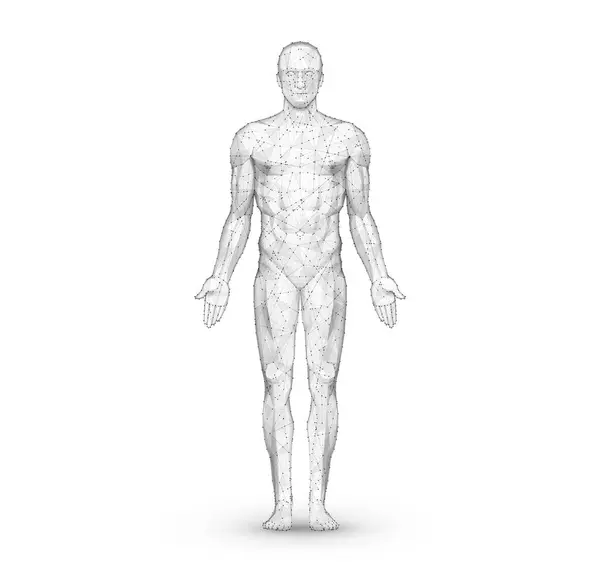 İnsan vücudu. Soyut vektör. Dijital anatomi, tıbbi teknoloji, kas yapısı, sağlık yeniliği, 3D model, DNA biyoteknoloji, vücut sistemi, bilim tıbbı, sağlıklı anatomi konsepti