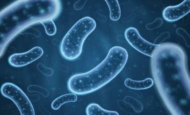 3 boyutlu probiyotik bakteri. Mikrobiyo flora, laktobacillus asidophilus, mikrobiyoloji araştırması, bifidobakteryum hücresi, mikrop bakterisi, bakteri kültürü, bifidobakteri büyümesi, laktik probiyotik fermantasyon.