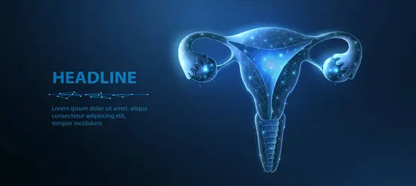 Uterus icon on the blue background. Ovary system, uterus inspection, gynecology examination, cervix anatomy, vagina illustration concept, reproductive system, ovarian cancer, menstrual cycle.