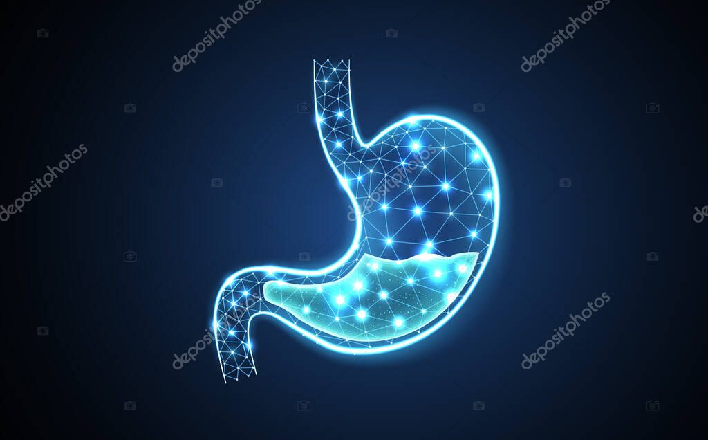 Abstract wireframe stomach illustration. Stomach anatomy, 3D gastroenterology, gut health, endoscopy technology, digestive system, gastric organ, acid reflux disease, healthy intestine concept