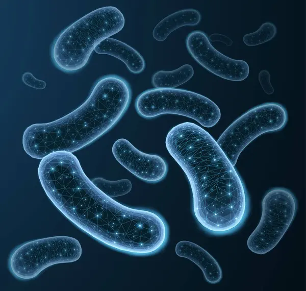 3 boyutlu probiyotik bakteri. Mikrobiyo flora, laktobacillus asidophilus, mikrobiyoloji araştırması, bifidobakteryum hücresi, mikrop bakterisi, bakteri kültürü, bifidobakteri büyümesi, laktik probiyotik fermantasyon.