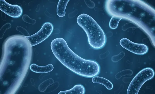 3 boyutlu probiyotik bakteri. Mikrobiyo flora, laktobacillus asidophilus, mikrobiyoloji araştırması, bifidobakteryum hücresi, mikrop bakterisi, bakteri kültürü, bifidobakteri büyümesi, laktik probiyotik fermantasyon.