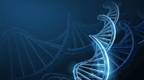 DNA testi. Soyut 3d çokgen kablosuz DNA molekül sarmalı maviye. Tıp bilimi, genetik biyoteknoloji, kimya biyolojisi, gen hücre konsepti çizimi veya arka plan