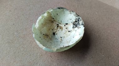 Kağıt üzerinde kir ve doku ile yarı yarıya tuzlanmış ördek yumurtası kabuğu.