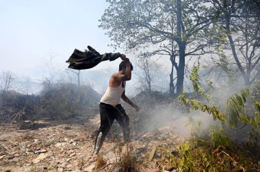 NOIDA, INDIA - 26 Mayıs 2024 'te Noida, Hindistan' da, 42. Sektör 'deki bir ormandaki yangını itfaiye personeli söndürdü. (Fotoğraf: Sunil Ghosh / Hindustan Times ) 
