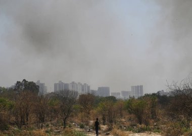 İtfaiye personeli 26 Mayıs 2024 'te Hindistan' ın Noida kentindeki 42. Bölge 'deki bir ormanda çıkan yangını söndürdü..