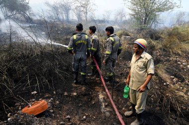 İtfaiye personeli 26 Mayıs 2024 'te Hindistan' ın Noida kentindeki 42. Bölge 'deki bir ormanda çıkan yangını söndürdü..
