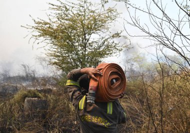 İtfaiye personeli 26 Mayıs 2024 'te Hindistan' ın Noida kentindeki 42. Bölge 'deki bir ormanda çıkan yangını söndürdü..