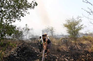 İtfaiye personeli 26 Mayıs 2024 'te Hindistan' ın Noida kentindeki 42. Bölge 'deki bir ormanda çıkan yangını söndürdü..