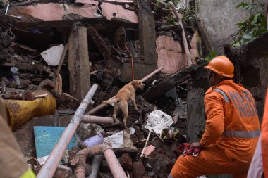 NAVI MUMBAI, INDIA - JULY 27, 2024: A tragic incident occurred early Saturday morning in CBD Belapur area when a three-storey residential building collapsed, resulting in the death of three individuals and injuries to two others clipart