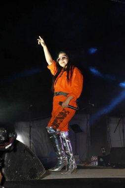 NEW DELHI, INDIA - 6 Nisan 2024: Bollywood şarkıcısı Nikhita Gandhi, 6 Nisan 2024 tarihinde Yeni Delhi, Hindistan 'daki Miranda College, Delhi Üniversitesi' nde her yıl düzenlenen bir festivalde sahne alıyor..