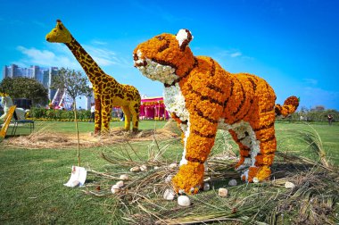 NEW DELHI, INDIA - MARCH 2, 2024: Exotic flowers put on display during DDA's two day flower festival 