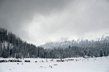 SRINAGAR, INDIA - 25 Şubat 2024 'te Hindistan' ın Srinagar kentinde, Gulmarg kentindeki ünlü kar kaplı kayak merkezinde turistlerin eğlendikleri görülüyor.. 