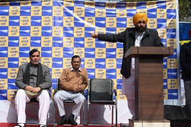 NEW DELHI, INDIA - 2 FEBRUARY 2024: Delhi Arvind Kejriwal, ve Punjab CM başkanı Sardar Bhagwant Mann, BJP 'deki Chandigarh belediye başkanlığı seçimlerinde hile yaptıkları için BJP' ye karşı bir protesto başlattılar..