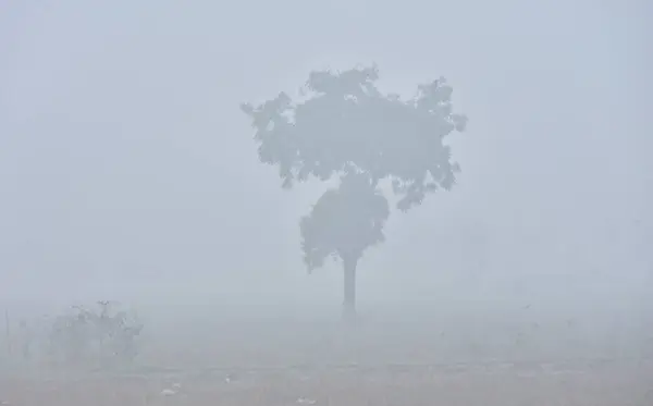 stock image GHAZIABAD, INDIA  JANUARY 3, 2024: Commuters out a cold and Fog morning amid rising air pollution levels at naiphal road delhi meerut expressway dasna