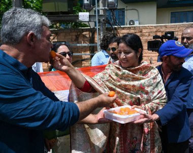 SRINAGAR, INDIA - AUGUST 5: Members of Bhartiya Janata Party (BJP) distribute sweets as they celebrate Fifth anniversary of the abrogation of Article 370  on August 5, 2024 in Srinagar, India.  clipart