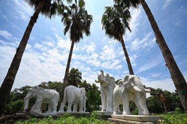 NEW DELHI, INDIA - 6 Ağustos 2024 tarihinde Hindistan 'ın Yeni Delhi kentinde, NDMC bölgesindeki güzelleştirmenin altında bir fil ailesi (Heykel) RML çemberine yerleştirildi.. 