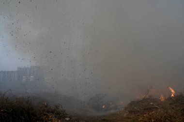 NEW DELHI, INDIA 19 Mayıs: 30. Sektör 'deki boş bir arsada meydana gelen yangın, Perşembe akşamı boyunca yanmaya devam ederek yakınlardaki bölge sakinlerini boğulma ve gözlerinde yanma hissi bıraktı.