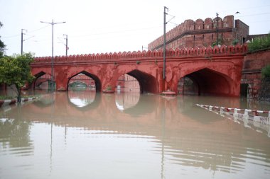 NEW DELHI, INDIA - 15 Temmuz 2023 'te, Yeni Delhi, Hindistan' da, Kızıl Kale 'nin (Halka Yolu) arkasında sel baskını gerçekleşti. Nehrin su seviyesi 45 yılı aşkın bir süredir tüm zamanların en yüksek seviyesine ulaştıktan sonra Çarşamba gününden beri yükseliyor..