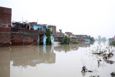 NEW DELHI, INDIA - 15 Temmuz 2023 tarihinde Yeni Delhi, Hindistan 'da Yamuna sel suları, Yamuna sel ovası yakınlarındaki Jaitpur Badarpur Bölgesi' nde gündeme geldi. Nehrin su seviyesi Çarşamba gününden beri yükseliyor.