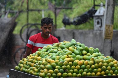NEW DELHI INDIA 27 HAZİRAN 2024 Gandhi Nagar bölgesinde 27 Haziran 2024 sabahı sağanak yağış sırasında Hindistan Meteoroloji Bölümü IMD Hindistan 'ın kuzeybatısındaki büyük bölgelerde muson yağmurlarının geleceğini öngördü.