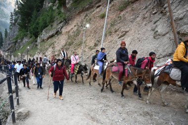 SRINAGAR INDIA 29 Haziran 2024 ilk Amarnath hacıları 29 Haziran 2024 tarihinde Srinagar 'ın kuzeydoğusundaki Baltal rotasındaki Amarnath mağarasına doğru yola çıktılar. 
