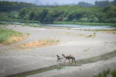 NEW DELHI, INDIA - 6 Haziran 2024 Yeni Delhi, Hindistan 'da 6 Haziran 2024 tarihinde ITO' daki aşırı hava koşulları nedeniyle su kururken Yamuna Nehri manzarası. Fotoğraf: Sanchit Khanna / Hindustan Times)