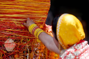 NOIDA, INDIA - 6 Haziran 2024 Hayranları, 6 Haziran 2024 'te Hindistan' ın Noida kentinde, 22. Bölgedeki bir Shiv mandir 'de' Vat Savitri Puja 'vesilesiyle bir ağacın altında dua ederler. (Fotoğraf: Sunil Ghosh / Hindustan Times) 