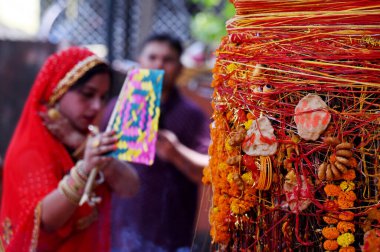 NOIDA, INDIA - JUNE 6 2024 Devotees offer prayers under a tree on the occasion of 'Vat Savitri Puja', at a Shiv mandir in sector 22, on June 6, 2024 in Noida, India. (Photo by Sunil Ghosh/Hindustan Times)  clipart