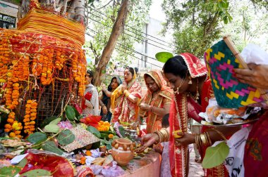 NOIDA, INDIA - 6 Haziran 2024 Hayranları, 6 Haziran 2024 'te Hindistan' ın Noida kentinde, 22. Bölgedeki bir Shiv mandir 'de' Vat Savitri Puja 'vesilesiyle bir ağacın altında dua ederler. (Fotoğraf: Sunil Ghosh / Hindustan Times) 