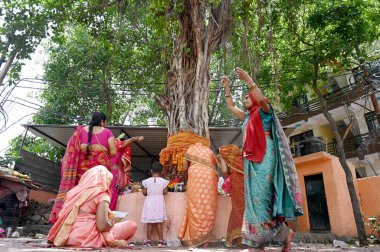 NOIDA, INDIA - JUNE 6 2024 Devotees offer prayers under a tree on the occasion of 'Vat Savitri Puja', at a Shiv mandir in sector 22, on June 6, 2024 in Noida, India. (Photo by Sunil Ghosh/Hindustan Times)  clipart