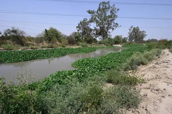 stock image NEW DELHI INDIA JUNE 13 2024 Poor maintenance of Munak canal on June 13 2024 in New Delhi India. The deployment of police personnel along the canal comes after the Supreme Court on Wednesday drew a direct link between the tanker mafia and the