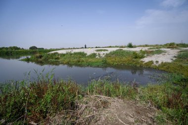 NEW DELHI INDIA MAY 7 2023 A view of Chinar Island as Vinai Kumar Saxena Lieutenant Governor of Delhi inspects the Mini Islands that are being rejuvenated by the authorities in Yamuna River near Yamuna Bazaar on May 7 2023 in New Delhi India Photo by clipart